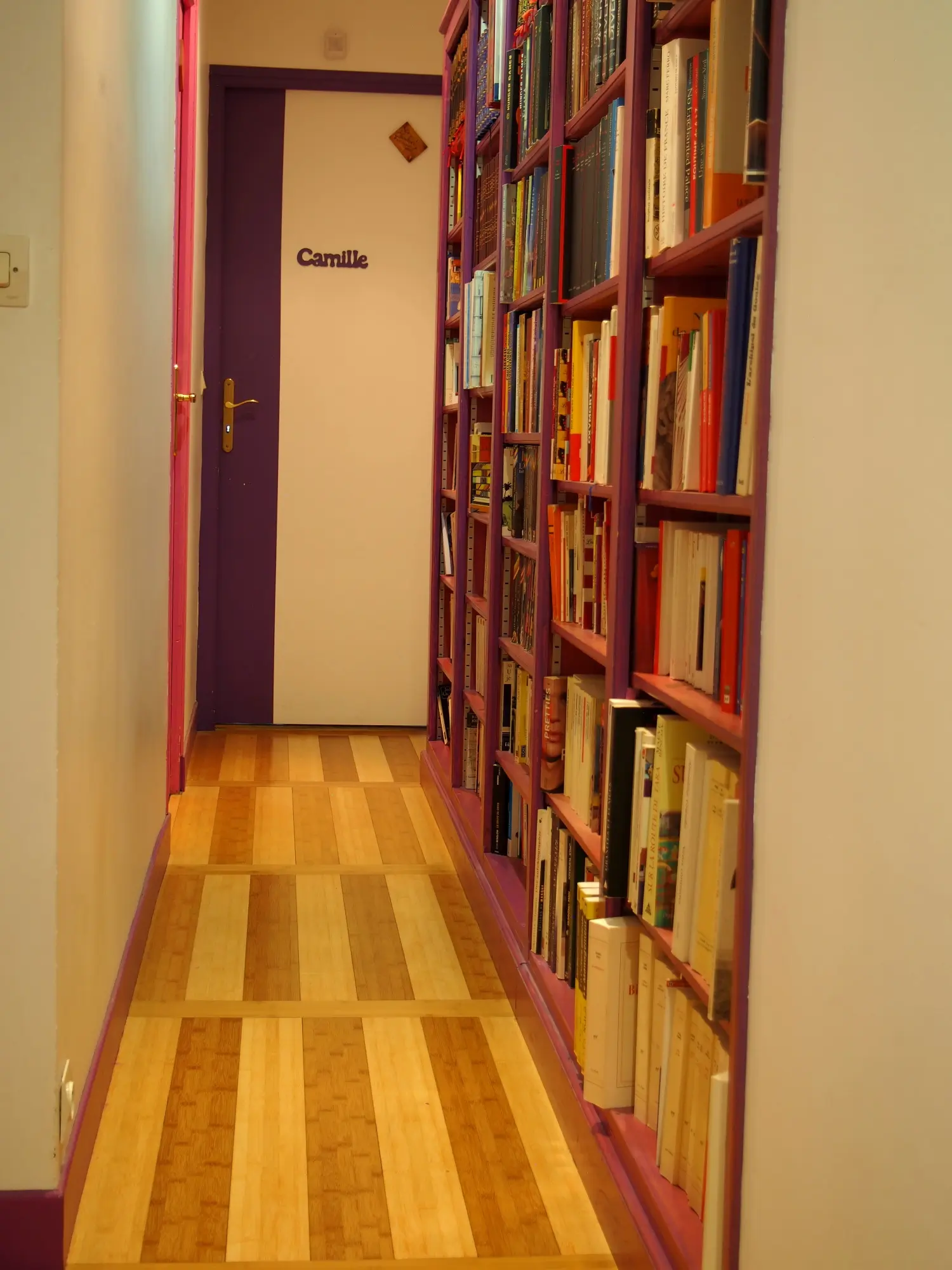 Grande bibliothèque dans un couloir (2009)
